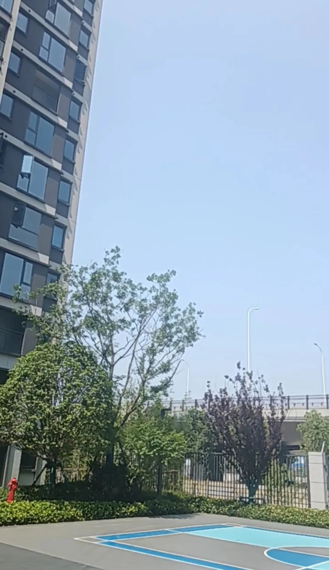 DƬ